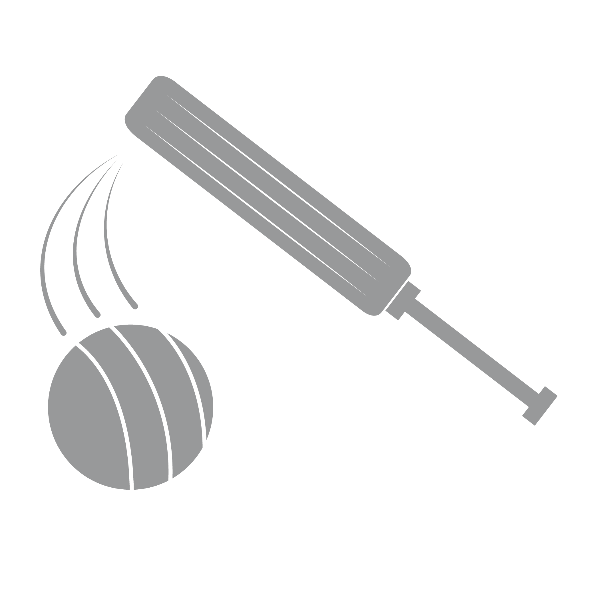 Cricket