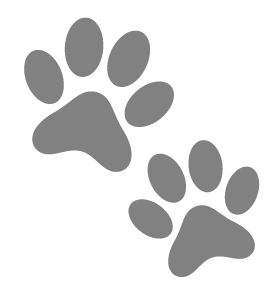 Pets