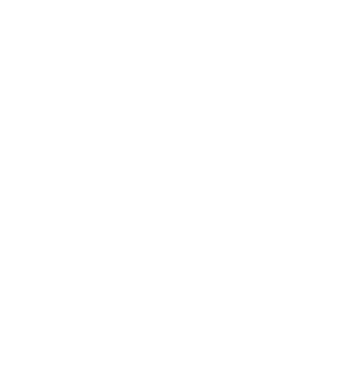Fan Scarves