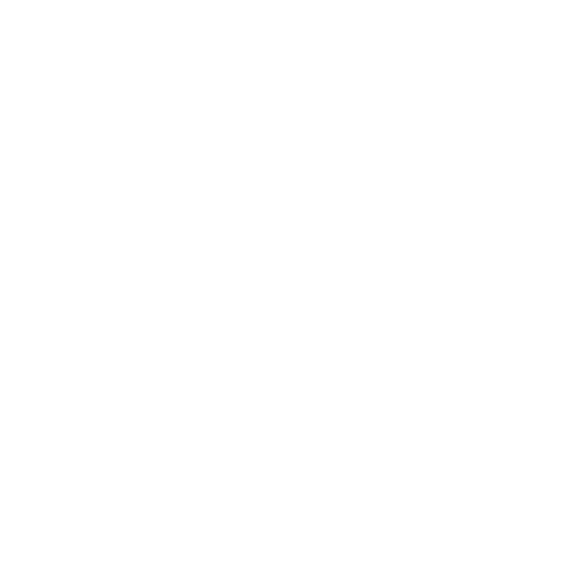 Arm SLEEVES