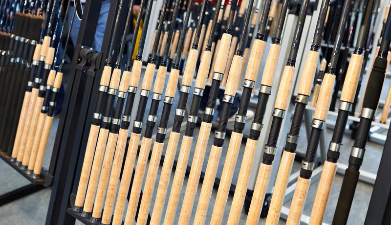 multiple fishing rods in a store