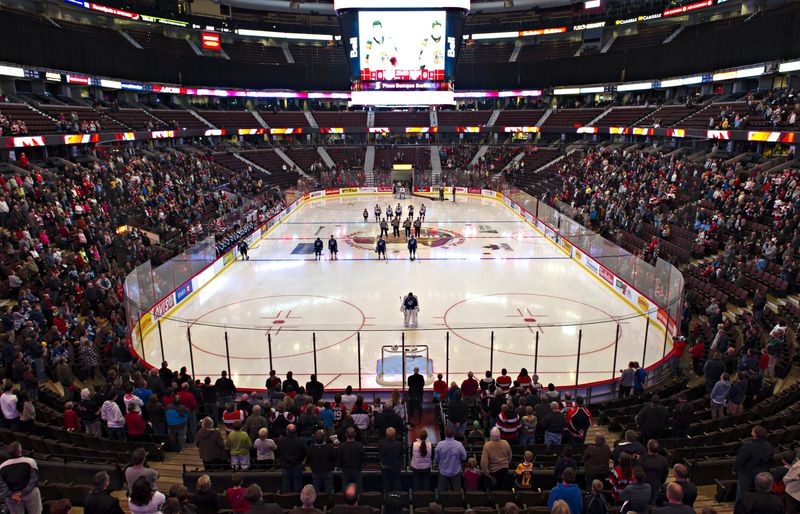 an ice hockey rink with stands full of fans