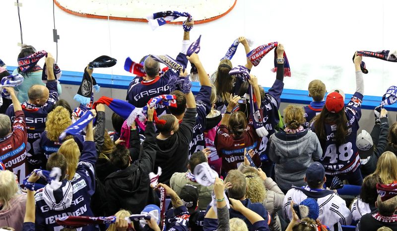 a crowd of ice hockey fans facing an ice hockey rink