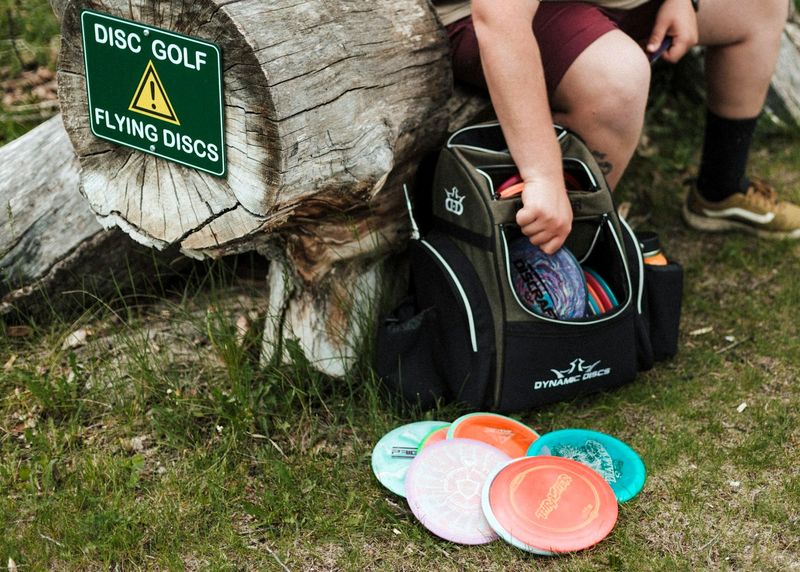 a bag of golf discs sitting on the grass next to golf discs