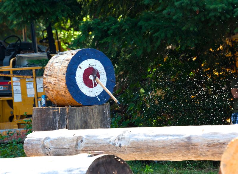 an axe throwing target with an axe in the bullseye
