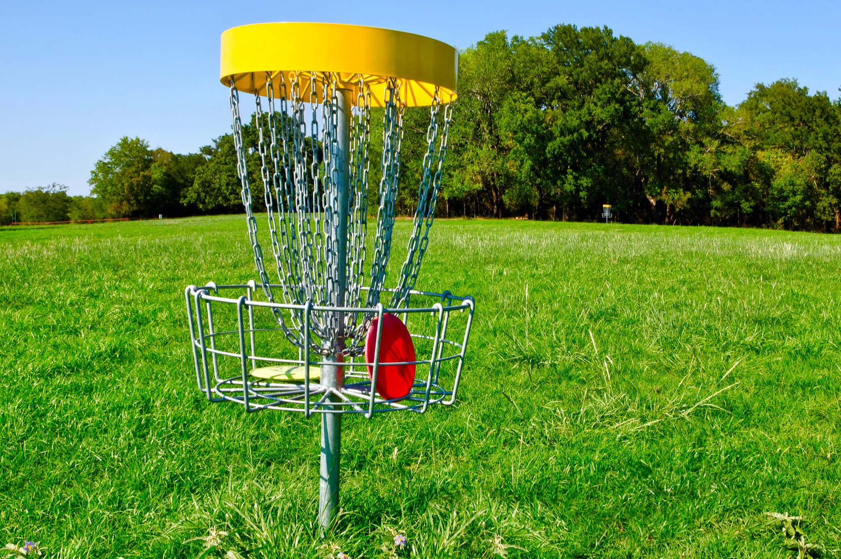 Disc Golf Numbers Explained - How to Choose the Right Disc