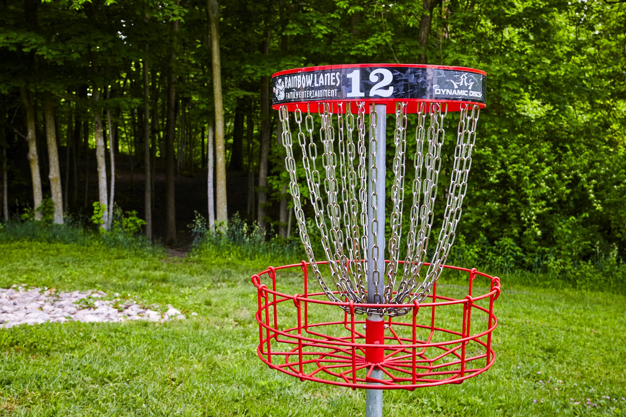 Quick Guide on How to Improve Disc Golf Accuracy