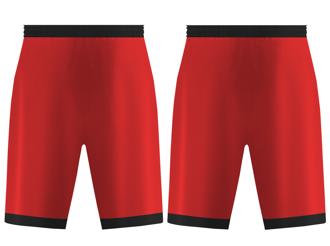 Custom panther animal adult youth unisex basketball shorts - reversible uniform - Short