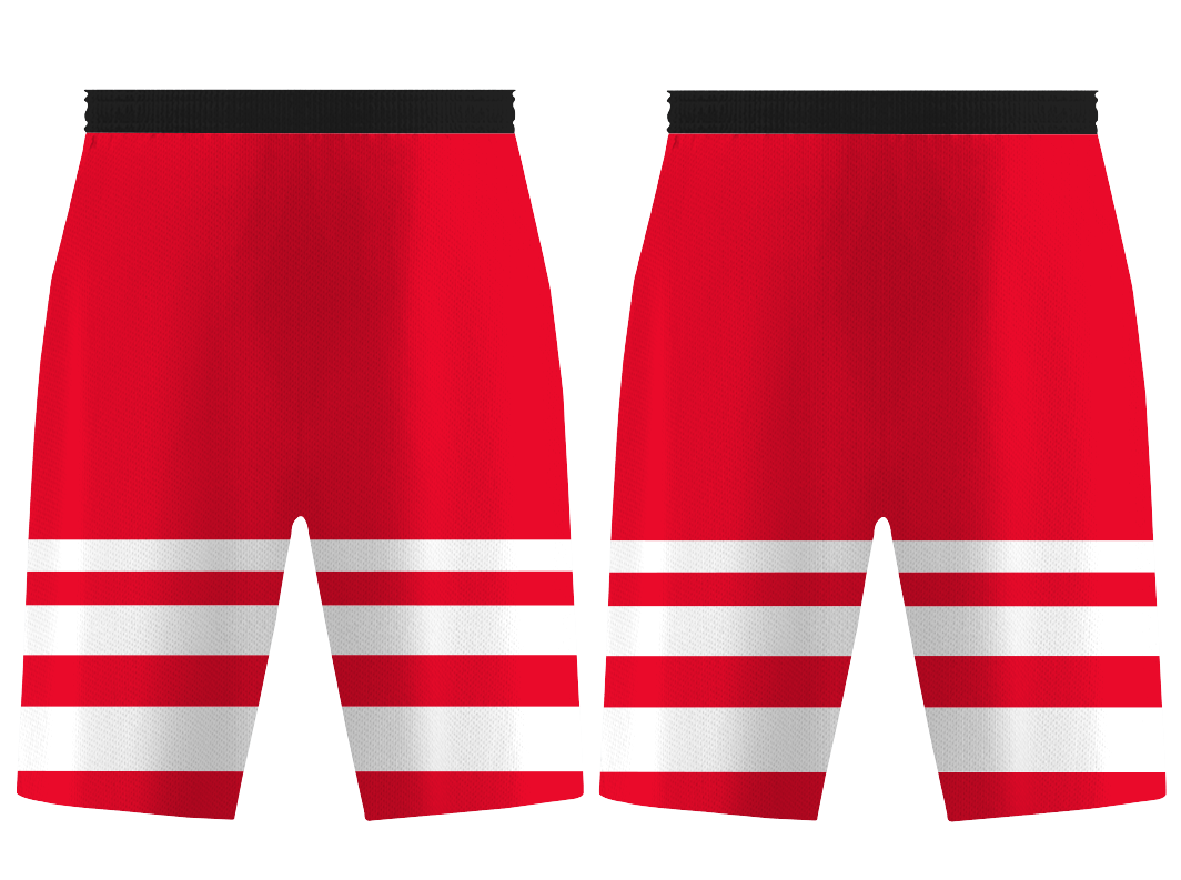 Custom lion animal adult youth unisex basketball shorts - reversible uniform - Short