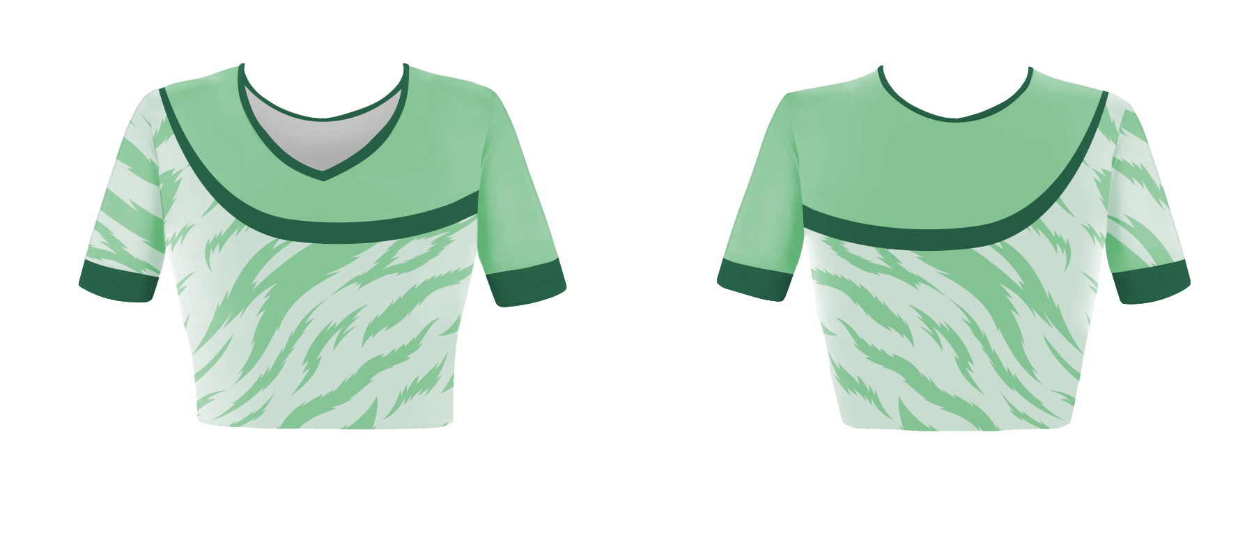 Custom  Simple Animalistic Adult Youth Unisex Cheerleading Short Sleeve Jersey - JERSEY
