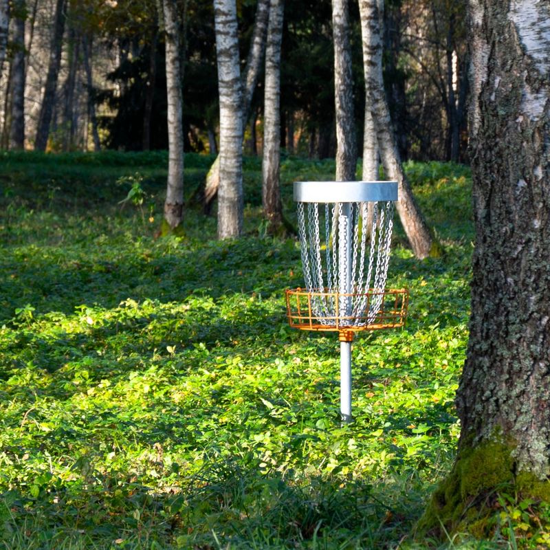 a disc golf basket next to multiple trees